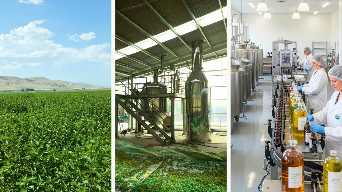 The field where the botanicals are grown, the distillery where the oils are extracted, and the facility where they are bottled