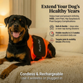 Nura Dog Red Light Pad